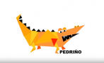 This short video presented in English, contains information about rheumatic heart disease and the Pedrino Study (echocardiogram screening for rheumatic heart disease in Maningrida, NT).