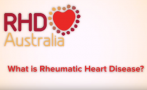 Hosted by Charlie King, OAM, this panel was held in Darwin in 2016. It includes discussion from experts, people with RHD and carers in a question and answer style presentation.