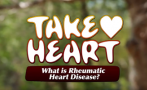 Take Heart  is a moving picture advocacy project designed to put rheumatic heart disease on the global media and public health agendas. 