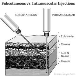 Subcutaneous Injection vs Intramuscular Injection image